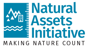 MNAI | Municipal Natural Assets Initiative