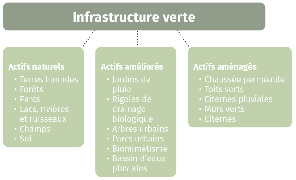 Infrastructure verte chart