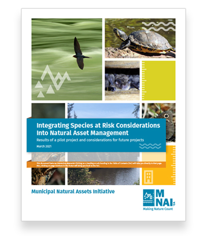 MNAI Species at Risk report 2021 cover
