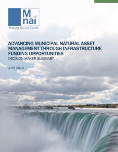 Advancing Municipal Natural Asset Management through Infrastructure Funding Opportunities - summary