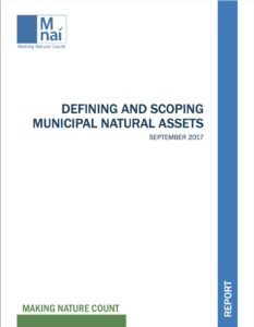 Defining and Scoping Municipal Natural Assets