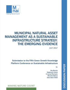 Municipal Natural Asset Management as a sustainable infrastructure strategy