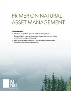 Primer on Natural Asset Management