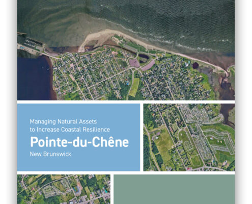 report cover - Managing Natural Assets to Increase Coastal Resilience in Pointe-du-Chêne