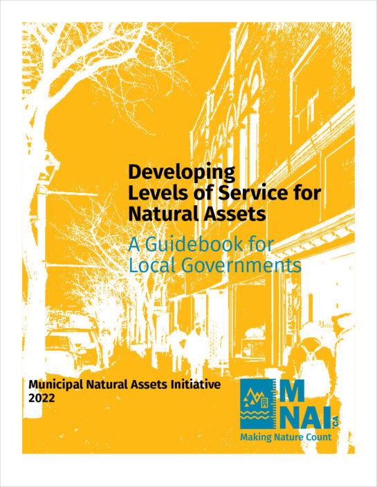 Developing Levels of Service for Natural Assets - report cover