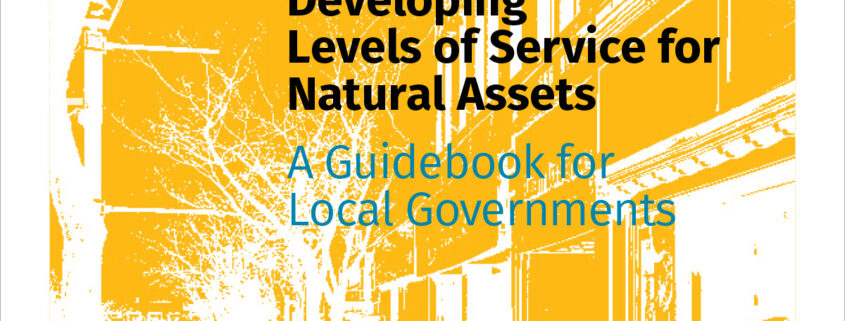 Developing Levels of Service for Natural Assets - report cover