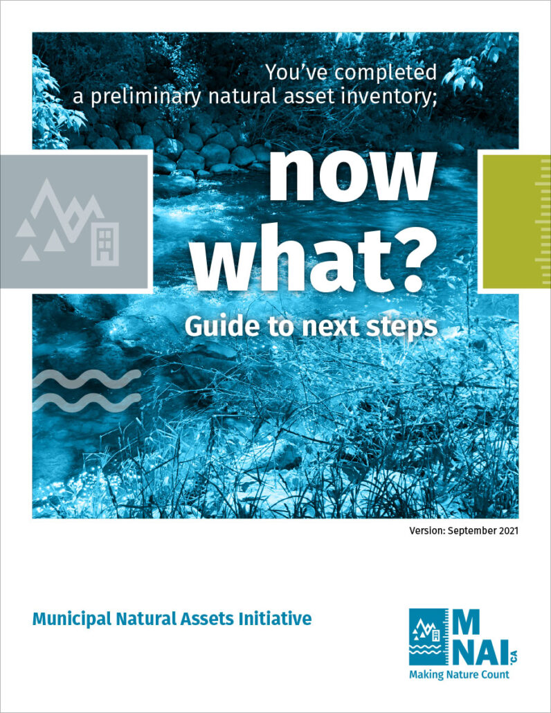 Now What? Guide to next steps