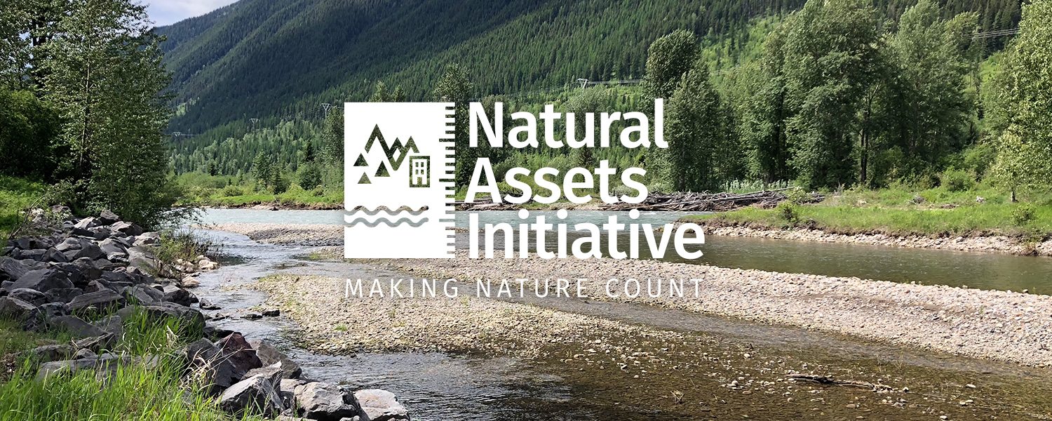 Natural Assets Initiative - Making Nature Count