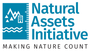 Natural Assets Initiative (NAI) logo