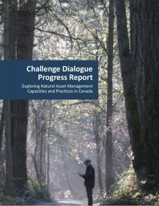 Challange Dialogue - Progress Report