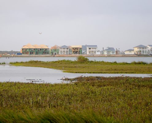 Prairie wetland with birds in the foreground and new construction in the distance