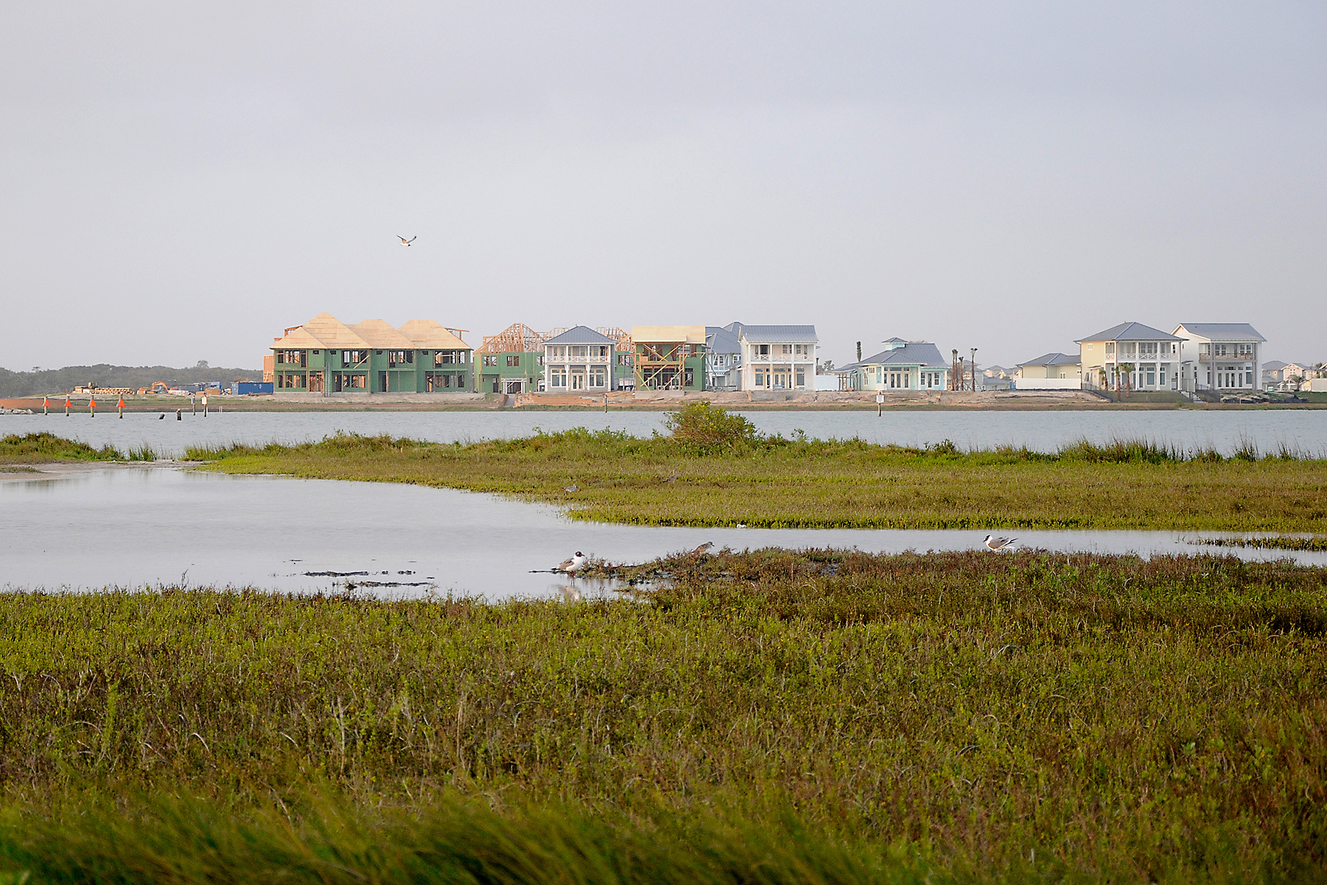 Prairie wetland with birds in the foreground and new construction in the distance