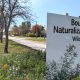 Selkirk, MB Boulevard Naturalization Project